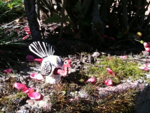 The Impossible Turkey likes walking gardens.