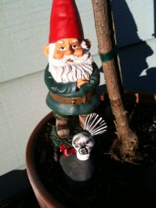 The Impossible Turkey and his friend the Gnome.