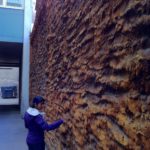 A photograph of a Priyanka and a strange wall in Berlin.